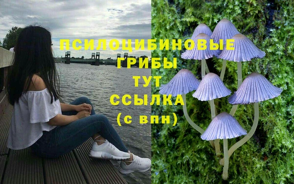 скорость Белокуриха