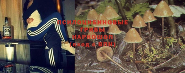 скорость Белокуриха