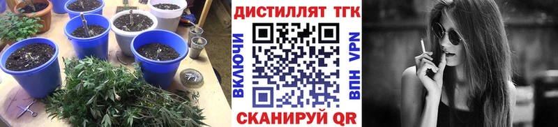 МЕГА сайт Облучье Дистиллят ТГК жижа